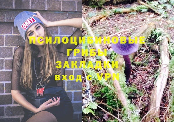 стафф Абинск