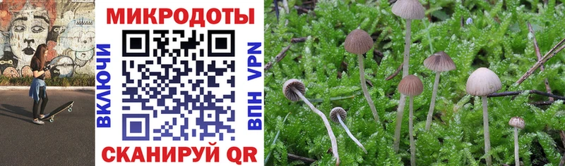 Псилоцибиновые грибы Cubensis  OMG   площадка формула  наркота  Рязань 