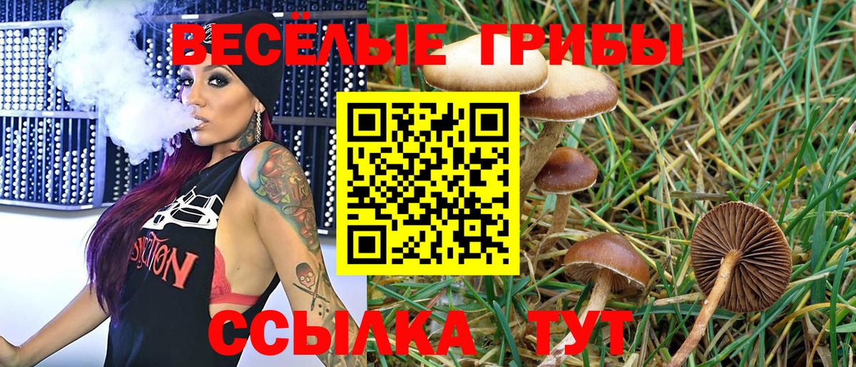 Рязань  Галлюциногенные грибы Psilocybe  Вход с VPN 