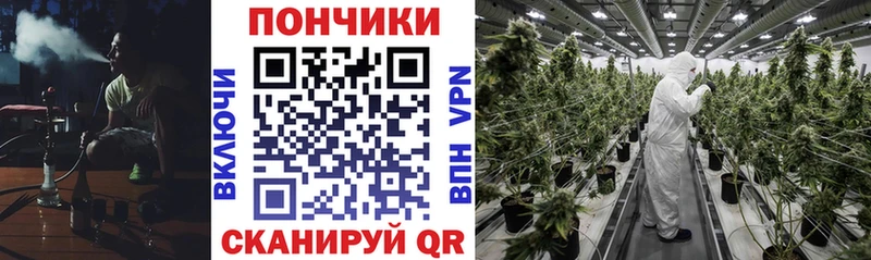 Шишки марихуана OG Kush  Рязань 